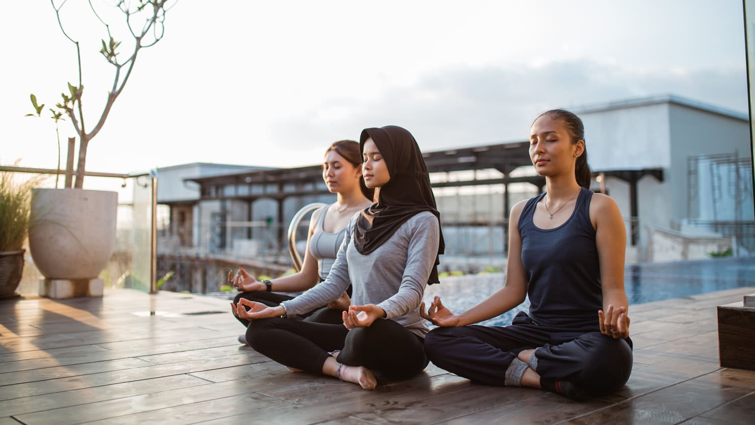 Wellness & Mindfulness